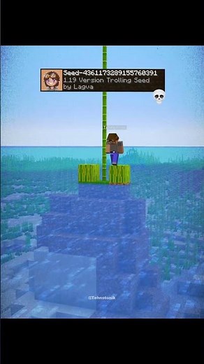 Minecraft 1.19 Version Trolling Seed Moment