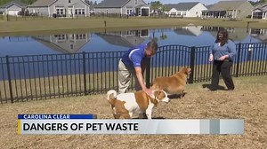 The dangers of pet waste