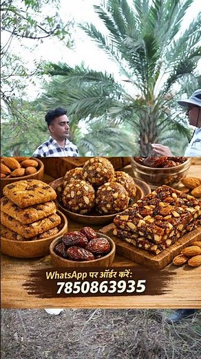 Date Palm Farming Business