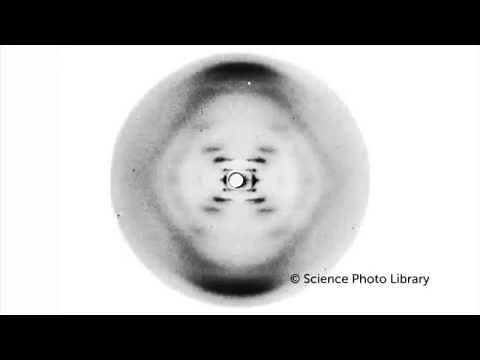 My sister Rosalind Franklin