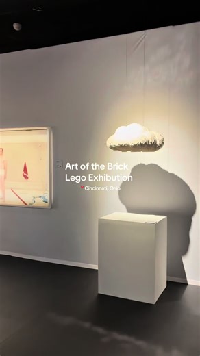 Art of the Brick owes me nothing. So many cool Lego designs— my favorite were “The Girl with the pearl Earring” & “Little Dancer”.
