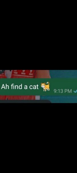 this song left in meh head rass 🤧🐈🐈🐈🤣🤣 #fypシ゚ #fypシ゚viral🖤tiktok☆♡🦋myvideo #comedyvideo #carbbeantiktok🇬🇾🇯🇲🇹🇹🇧🇸🇧🇧🇱🇨 @F3🕊 💜 V 😫 @itz rere❤💍😩 @Mãřķ Loknauth