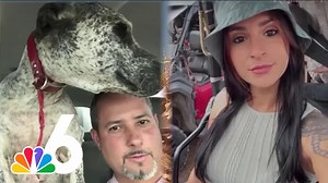 Three hog hunters from Florida died in an underground tank filled with sewer gas after one of them apparently tried rescuing their dog after it fell into the hole, a Texas sheriff said Thursday. The other two hunters died after jumping in to save them. Full story here: http://on.nbc6.com/8qikHae | NBC 6