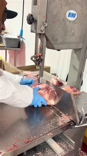 Join the LIVE Incentive Program Today!