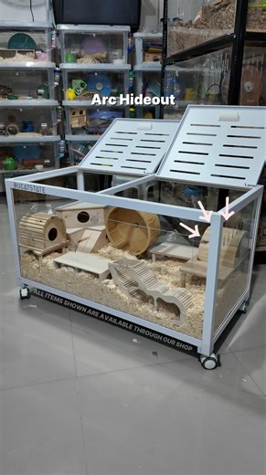 Setup this 100cm V3 Bucatstate hamster cage with me. Natural theme all wood. For queries, message us! | Little Ham Supplies