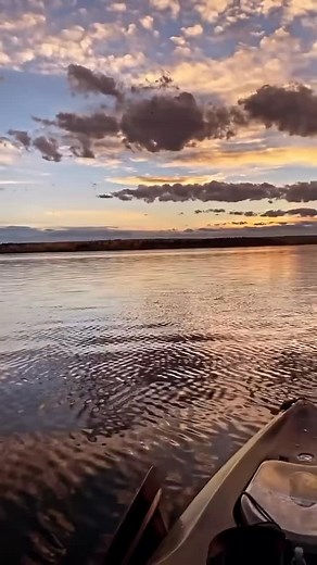 Chasing sunsets and catching Trout @fishaholicscanada #browntrout #troutfishing #kayakfishing #sunsetvibes #sunsetlovers #fishinglife #anglerlife #catchoftheday #catchandrelease #lakelife #outdoorvibes #kayakadventures #naturevibes #fishingreels #outdoorsman #fishingdaily #wildlife #naturelover #reellife #fyp | Fishaholics Canada | Facebook