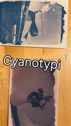 Slow Sunday Art: Cyanotype Experiments