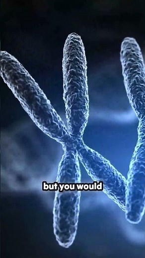 Haploid vs. Diploid: Defining Chromosome Sets