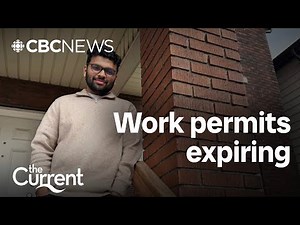 More than a million work permits expire this year in Canada. What’s next?