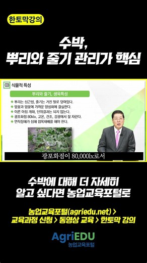 [Mini-Lecture] EP.23 Watermelon Farming: Start by Checking the Roots and Stems!