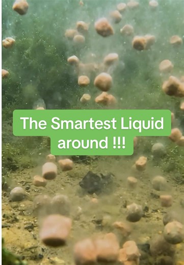Discover Mainline’s Smart Liquid for Carp Fishing