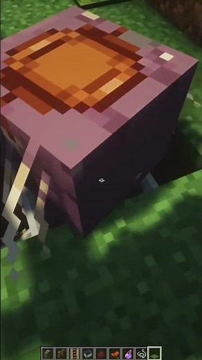 Minecraft: How to build a working swing