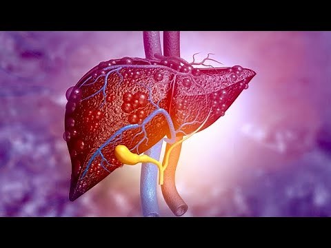 Foods To Naturally Increase Bile Production and Bile Flow  Gallbladder and Liver Health