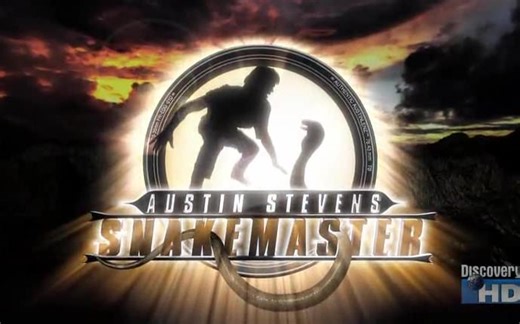 蛇王。奥斯丁.史蒂文斯（弄蛇人系列中文字幕）