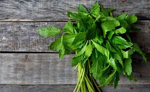 Epazote: ¿Qué es y para que la utilizaríamos? - Chapin TV