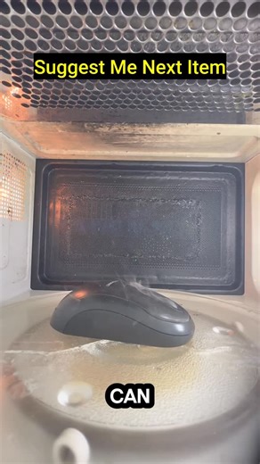 Mrwaves on Instagram: "Mouse vs microwave #microwave #science #experiment #facts"