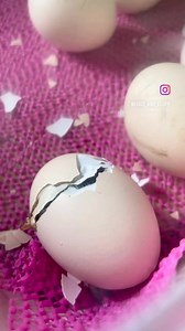 9.9K views · 3.4K reactions | Magic I can’t get over the magic of...