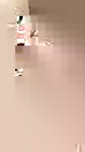 Join our FREE Kitten Code 🐱🔍 program for expert advice on everything from feeding and healthcare to socialising and playtime. | Purina UK & Ireland