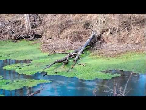 The Narrows On The Eleven Point River Photo Montage