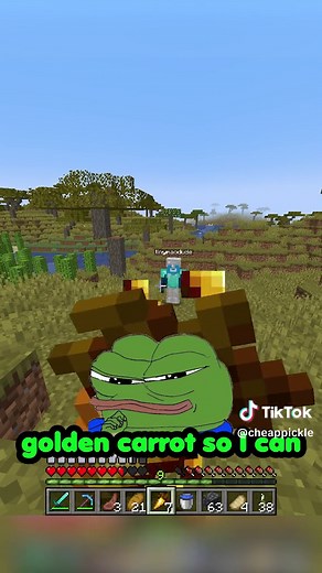 tucker has a secret #minecraft #cheappickle @tinymacdude