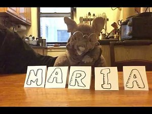 How Do You Solve A Problem Like Maria? Rodgers and Hammerstein 1959