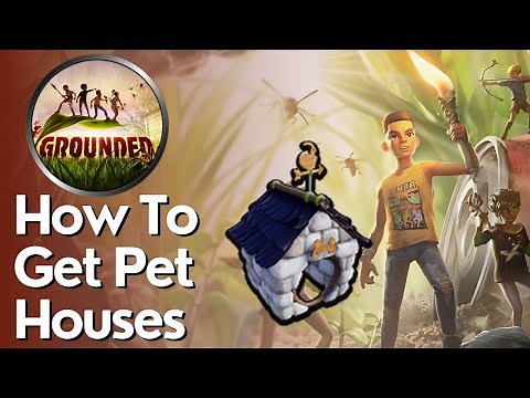 How to Get Pet Houses in Grounded