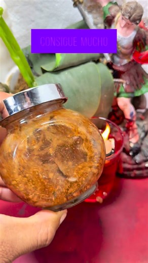 Echizera biolendy on Instagram: "#estadosunidos #california #viral"