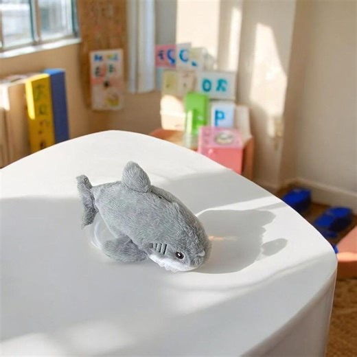 Plush Shark Pencil Case – Kids Stationery Organizer - Etsy
