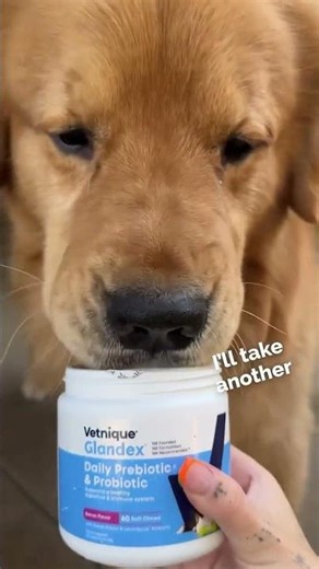 Paws Off My Glandex