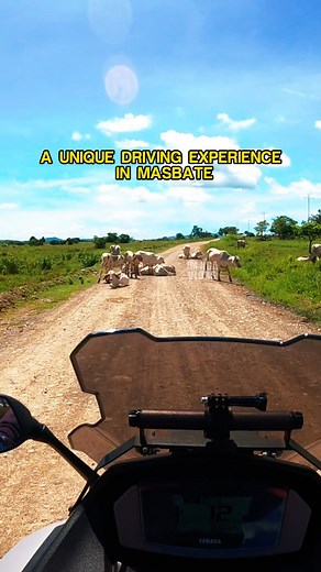 35K views · 650 reactions | Welcome to Masbate, The Cattle Capital of the Philippines | JM Nga VLOGS | Facebook