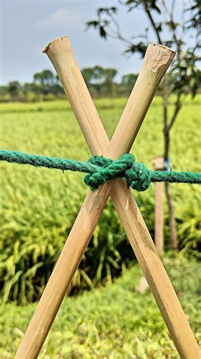 Simple Rope Trick That Looks Impossible!#shorts #knotting #lifehacks #ropeknot