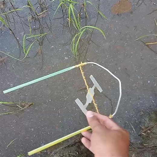 Khắc phục lỗi giao diện người dùng hiệu quả