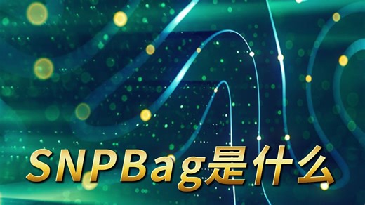 SNPBag 是什么？为什么它能改变遗传研究方式