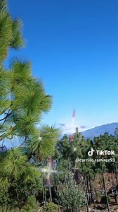 Videos de carrillo Ramirez (@carrillo.ramirez93) con “sonido original - William Moises Rey Tuyo Carril”