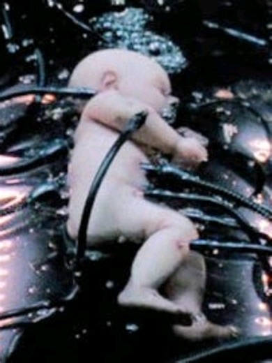 We are Tax Slaves!!! #dc #fraud #usa #america #matrix