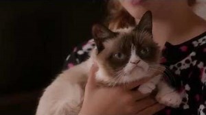 Grumpy Cat’s Worst Christmas Ever