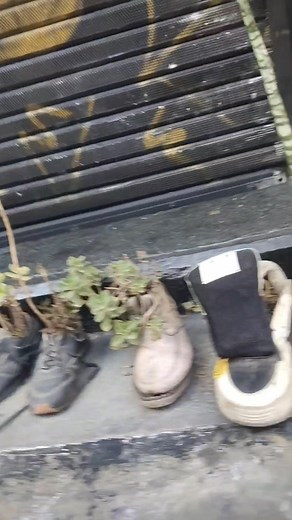 Tony Ramirez on Reels