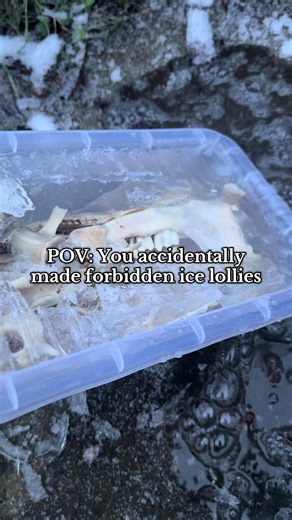 Winter Bone Degreasing Tips for Collectors