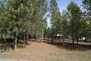 4 comments | Buildable lot for sale! 0.83 acres in a quiet neighborhood.Quick access to HWY 395. Easy access to connect home to utilities. There is already a nice storage shed and a fully enclosed tree house on the property. Check it out for yourself or find out more information by following the link in the comments section. Don't miss out on this great piece of property. | The Spokane Home Guy Group | Facebook