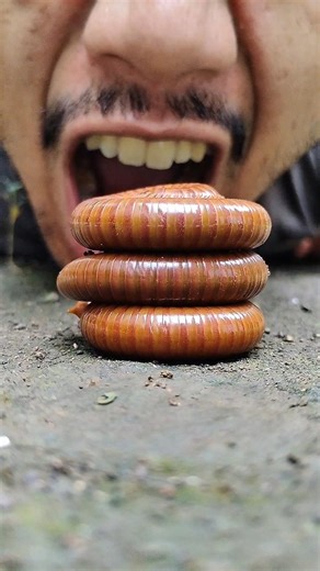 found three millipedes under the plastic #shortvideo