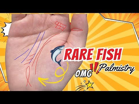 Rare Fish Palm Line: Endless Prosperity and Wealth - Palmistry