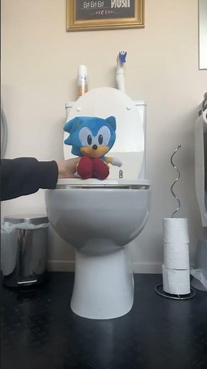 Sonic poop 2 #sonicthehedgehog