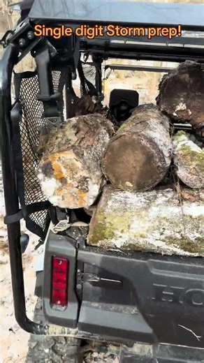 Single digit Firewood gathering, I love it! #woodsman #winterstorm #firewood