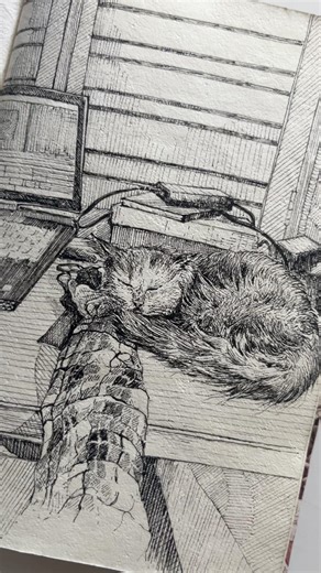 Mizuki- inking my cat