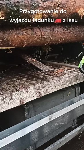 Przygotowanie do wyjazdu 🚛🚛🚛#drewnojestzlasu #drewno #tir #przewoznik
