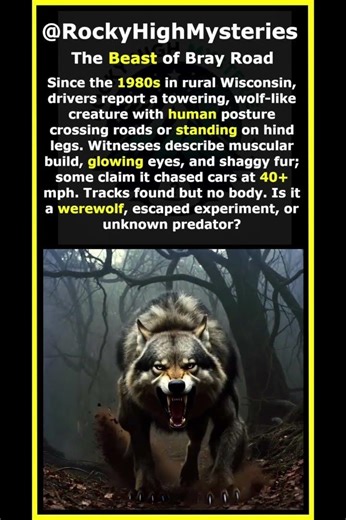 The Beast of Bray Road #HistoryMystery #UnsolvedMysteries #HistoryFacts #MysteryHistory