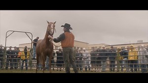 10K views · 183 reactions | Prison Tour 2019 Salem, Oregon (OSP) Day 1 . In our life we have many opportunities that rely on a choice. Will you let fear steal the reins or in the midst will you choose courage? I believe this generation is stepping up and choosing to face what’s in front of them! | Riding High Ministries, Inc. | Facebook