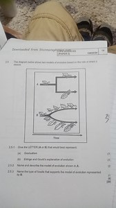 Question 2.5The diagram below shows two models of evolution ba... | Filo
