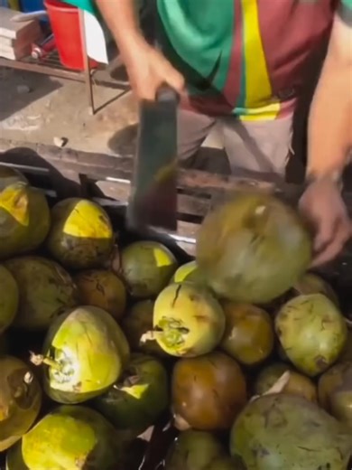 Come take the wettest airboat ride at Everglades Alligator Farm