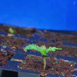 284K views · 2.4K shares | Augmented reality is revolutionizing farming | Futurism | Facebook